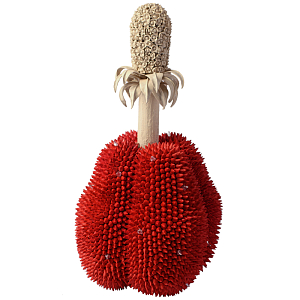 Статуэтка тропический фрукт Tropical Fruit Red