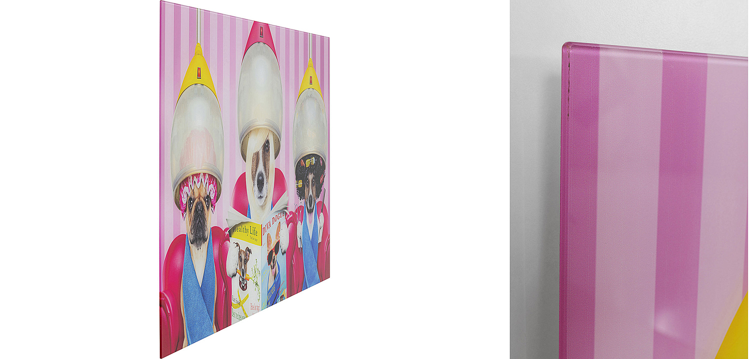 Картина Dogs in a beauty salon  - Loft-Concept в Казани