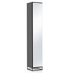 Шкаф-пенал с зеркальной дверцей и фасадом цвета графит Strict Lines варинант исполнения - 1 | Loft Concept в Казани