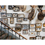 Книга Extraordinary Collections: French Interiors варинант исполнения - 11 | Loft Concept в Казани