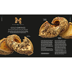 Книга Treasures of India From Antiquity to Modernity варинант исполнения - 3 | Loft Concept в Казани