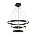 Люстра светодиодная с 3-мя плафонами в форме колец из акрила и алюминия с пультом для регулировки света Ring Horizontal Anthracite варинант исполнения - 6 | Loft Concept в Казани