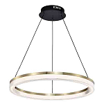 Люстра подвесная круглая светодиодная с золотым каркасом Ring Horizontal варинант исполнения - 3 | Loft Concept в Казани