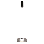 Подвесной светильник Blanton smoky 23 варинант исполнения - 2 | Loft Concept в Казани