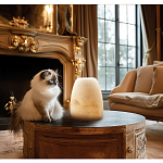 Настольная лампа в форме трапеции из натурального камня Soft Glow of Stone варинант исполнения - 5 | Loft Concept в Казани