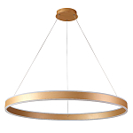 Люстра подвесная светодионая кольцевая золотого цвета Ring Horizontal варинант исполнения - 1 | Loft Concept в Казани