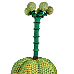 Статуэтка Зеленый тропический фрукт Pandora Tropical Light Green 69 варинант исполнения - 1 | Loft Concept в Казани