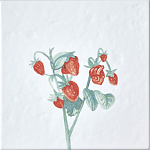 Плитка с узором Земляника варинант исполнения - 2 | Loft Concept в Казани