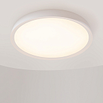 Потолочный светильник Incognito 2700-4000К 46Вт варинант исполнения - 4 | Loft Concept в Казани