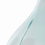 Ваза-бутыль из стекла TRANSPARENT FORMS 56 варинант исполнения - 4 | Loft Concept в Казани