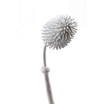 Статуэтка тропический фрукт Pandora Tropical Fruit Tall White варинант исполнения - 1 | Loft Concept в Казани