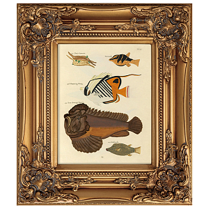 Постер в раме из натурального дерева Fishes 6