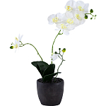 Декоративный искусственное растение Angel Orchid варинант исполнения - 1 | Loft Concept в Казани