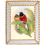 Постер с изображением птиц и цветов в зеркальной раме Blooming Birds Poster варинант исполнения - 6 | Loft Concept в Казани