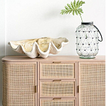 Блюдо декоративное в виде ракушки Seashell варинант исполнения - 1 | Loft Concept в Казани