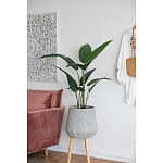 Декоративный искусственное растение Decor Stile  варинант исполнения - 6 | Loft Concept в Казани