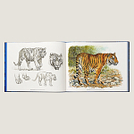 Лимитированная подарочная книга HERMES Fierce and Fragile book, English version варинант исполнения - 2 | Loft Concept в Казани