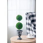 Декоративный искусственное растение Double boxwood варинант исполнения - 5 | Loft Concept в Казани