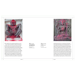 Книга Tantra: Enlightenment to Revolution варинант исполнения - 4 | Loft Concept в Казани