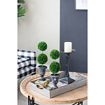 Декоративный искусственное растение Double boxwood варинант исполнения - 8 | Loft Concept в Казани