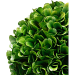 Декоративный искусственное растение Single boxwood варинант исполнения - 2 | Loft Concept в Казани