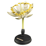 Статуэтка Tilia варинант исполнения - 3 | Loft Concept в Казани