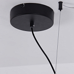 Люстра подвесная светодиодная черный металл Ring Horizontal варинант исполнения - 13 | Loft Concept в Казани