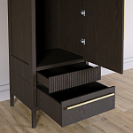 Узкий Шкаф Primo с 2 выдвижными ящиками Темный орех варинант исполнения - 5 | Loft Concept в Казани