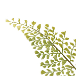 Декоративный искусственное растение Dried flower варинант исполнения - 3 | Loft Concept в Казани