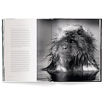 Книга Beusker. Look into my Eyes варинант исполнения - 3 | Loft Concept в Казани