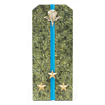 Сувенир Погон Старший Лейтенант ВДВ из натурального камня змеевик Souvenir Epaulets варинант исполнения - 1 | Loft Concept в Казани