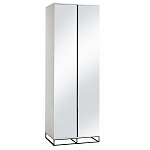 Двухдверный шкаф с зеркальными дверцами Strict Lines варинант исполнения - 5 | Loft Concept в Казани