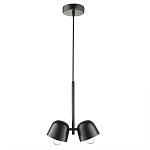 Подвесной светильник черный с 2-мя плафонами Pendant lamp Black варинант исполнения - 1 | Loft Concept в Казани