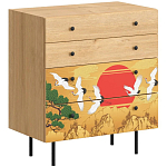 Комод с принтом на ящиках Elise Chest of Drawers варинант исполнения - 4 | Loft Concept в Казани