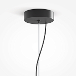 Подвесной светильник Rare grapes варинант исполнения - 4 | Loft Concept в Казани