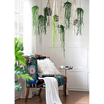 Диван Mesotrope варинант исполнения - 7 | Loft Concept в Казани