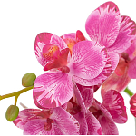 Декоративный искусственное растение Pink orchid варинант исполнения - 3 | Loft Concept в Казани