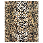 Редкое коллекционное издание Casa Cavalli Home: Celebrating the Roberto Cavalli Lifestyle Леопард варинант исполнения - 1 | Loft Concept в Казани