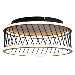 Потолочный светильник LOFT SHANDING 1