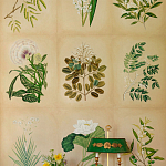 Обои ручная роспись Botanical Studies Linnaeus colourway варинант исполнения - 3 | Loft Concept в Казани