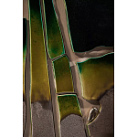 Панно «Амазония» варинант исполнения - 3 | Loft Concept в Казани