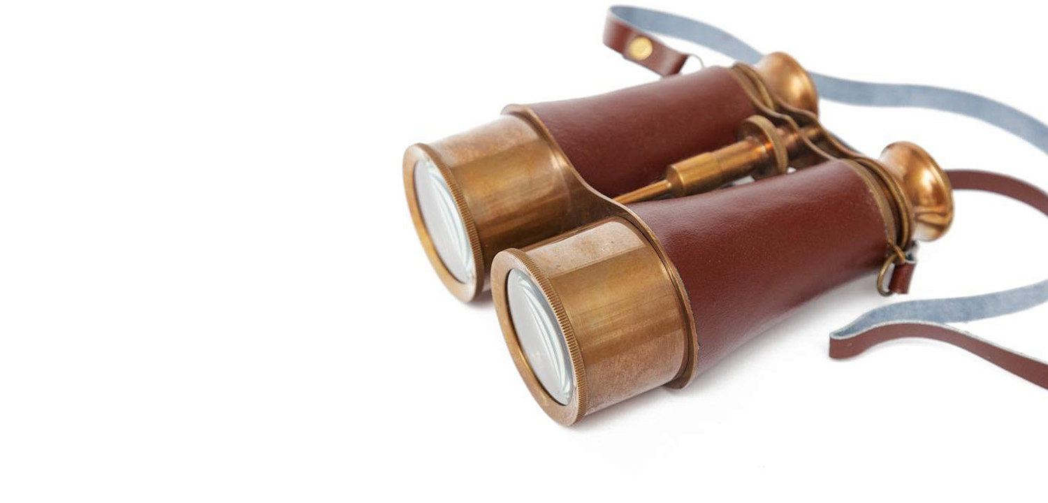 Винтажный бинокль в подарочной коробке Victorian Era Brass Binoculars - Loft-Concept в Казани