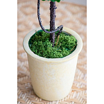 Декоративный искусственное растение Single boxwood варинант исполнения - 6 | Loft Concept в Казани