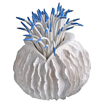 Статуэтка тропический фрукт Tropical Fruit White Blue варинант исполнения - 2 | Loft Concept в Казани