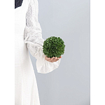 Декоративный искусственное растение Small boxwood варинант исполнения - 3 | Loft Concept в Казани