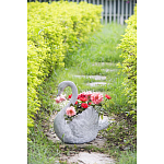 Кашпо The Proud Swan варинант исполнения - 6 | Loft Concept в Казани