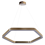 Люстра подвесная светодиодная в форме шестиугольника Диаметр 80 см Hexagon Horizontal варинант исполнения - 1 | Loft Concept в Казани