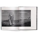 Книга Beusker. Look into my Eyes варинант исполнения - 1 | Loft Concept в Казани