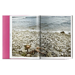 Книга Gisele Bundchen варинант исполнения - 9 | Loft Concept в Казани