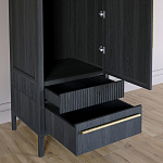 Узкий Шкаф Primo с 2 выдвижными ящиками Черный дуб варинант исполнения - 5 | Loft Concept в Казани